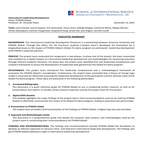 ExecutiveSummary-PYXERAGlobal