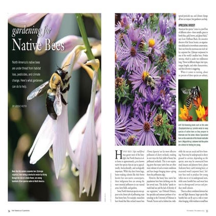 Native Bees TAG ND14