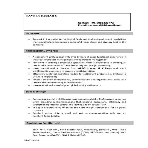 Naveen Derivatives Resume