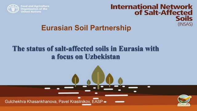 The status of salt-affected soils in Eurasia with a focus on Uzbekistan