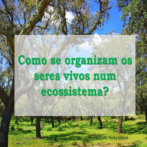 4 ecossistemas