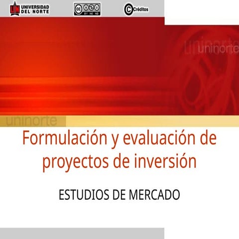 4 EST DE MERCADOformulacon de proyectos.ppt