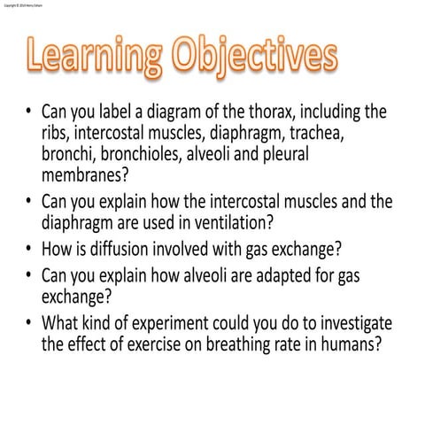 Exercise and Breathing