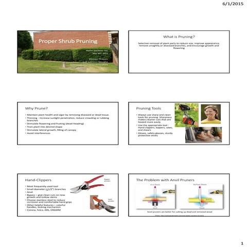 Proper Shrub Pruning