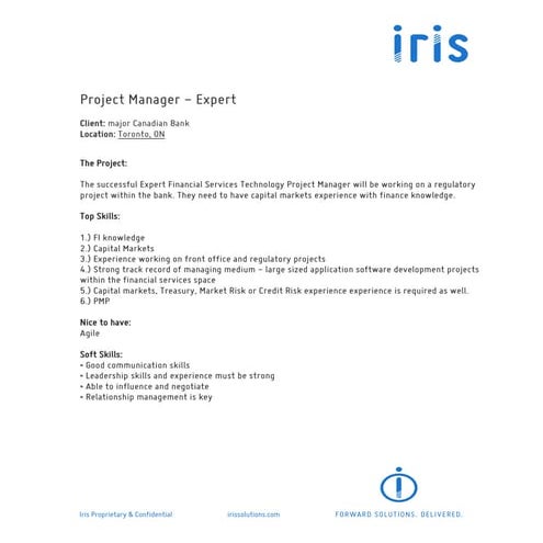 Project Manager - Expert | PDF