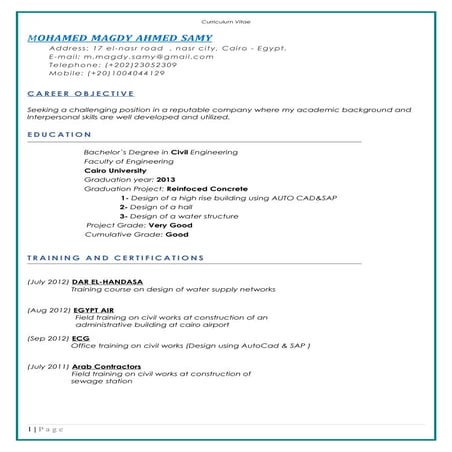 Rami cv | PDF