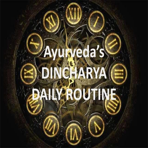DINCHARYA