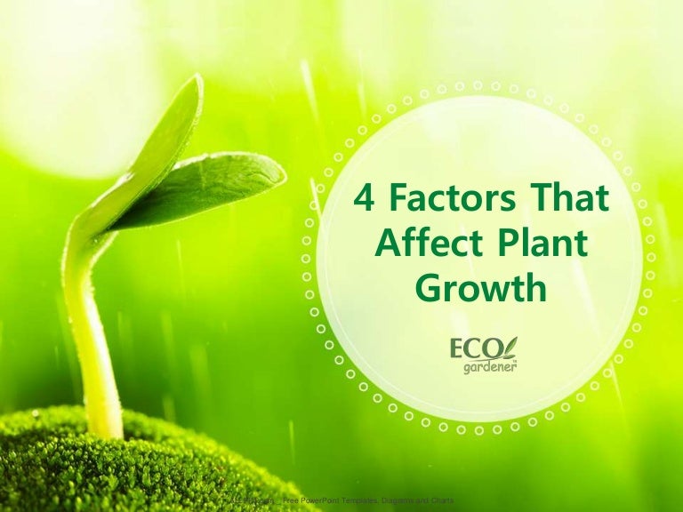 ECOgardener 4 Factors That Affect Plant Growth