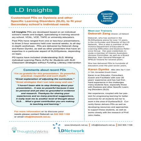 Dyslexia and LD Insights flyer | PDF