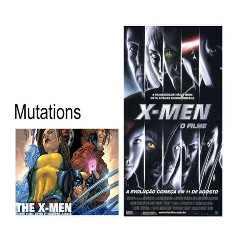 Chapter 19 Heredity Lesson 4 - Gene chromosome mutations_natural selection