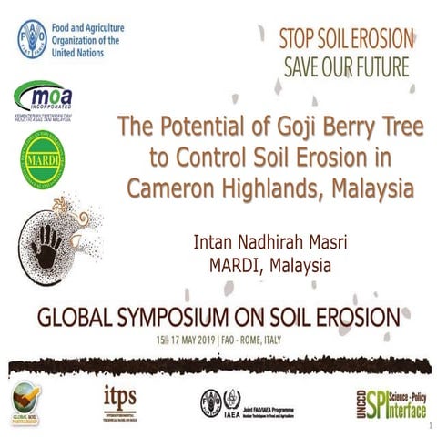 The potential of Goji Berry Tree to control soil erosion in Cameron ...