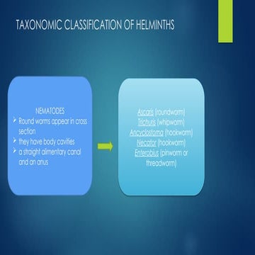 Classification of helminthes slide presentation | PPTX