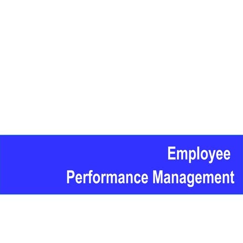 HR Management  4. Gestione delle Performance