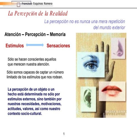 4 Imagen Percepcion 3 Nuevo07  Pptm