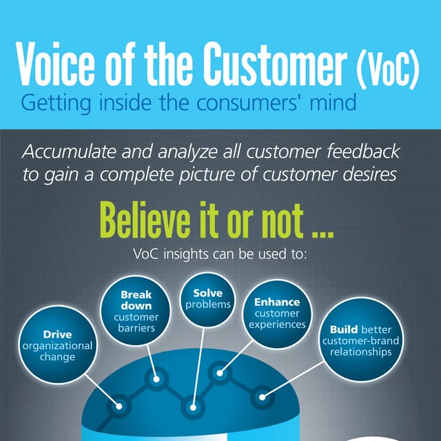 : Voice of Customer [INFOGRAPHIC] 