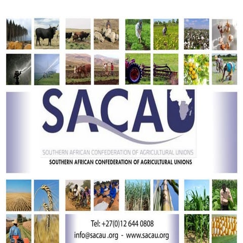 Ishmael Sunga: Farmers' experiences and needs from insurance