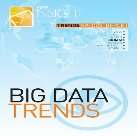 Fipp world media trends special report big data