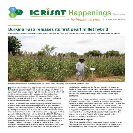 Burkina Faso releases its first pearl millet hybrid | PDF