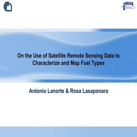 On the Use of Satellite Remote Sensing Data to Characterize and Map Fuel Types