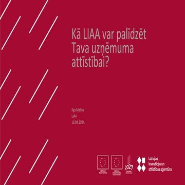 Kā LIAA var palīdzēt Tava uzņēmuma attīstībai? | PDF