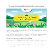 4 main parts of a flower and their functions | PDF