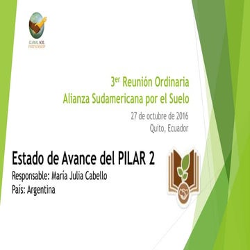Estado de Avance del PILAR 2