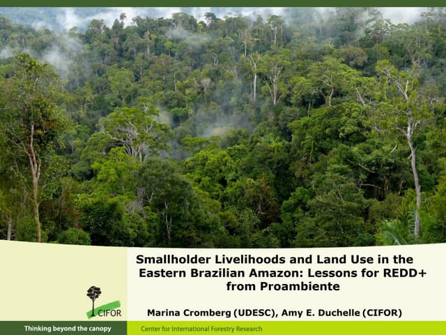 Smallholder livelihoods and land use in the Eastern Brazilian Amazon: Lessons for REDD+ from Proambiente