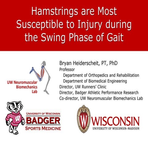 Bryan Heiderscheit _hamstring-mechanics