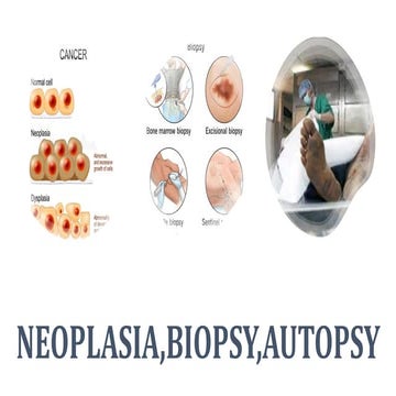 Autopsy Vs. Biopsy — What’S The Difference? – RWIL