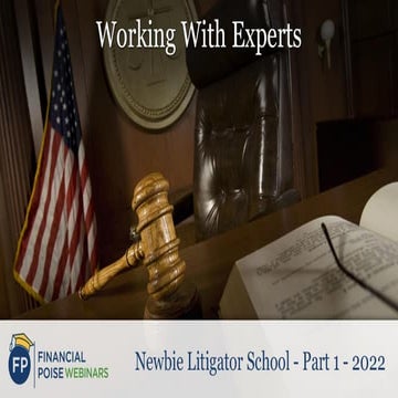 NEWBIE LITIGATOR SCHOOL - Part I 2022: Working With Experts 