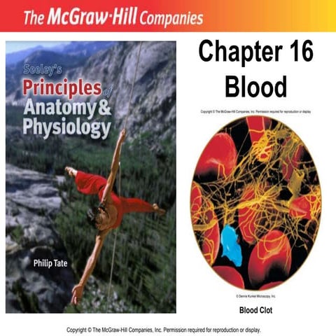 11_Blood.ppt