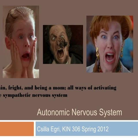 Autonomic nervous system