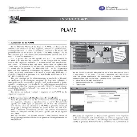 4 plame | PDF