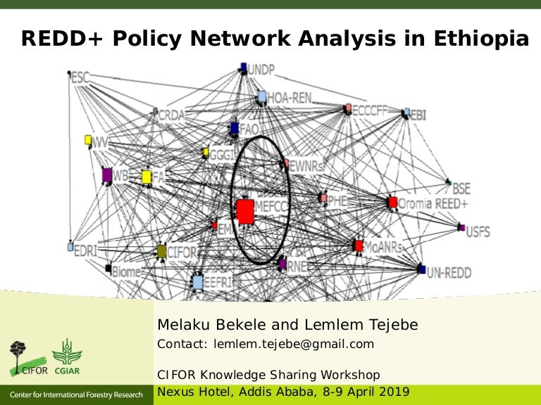 thumbnail of  REDD+ Policy Network Analysis in Ethiopia