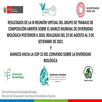 4 PPT_CONADIB_RESULTADOS GTCA3_COP-15 7.10.21.pdf.pdf