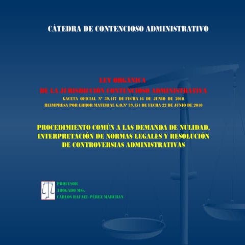 (4) procedimiento comun  nulidad, interpretacion y controversias administrativas