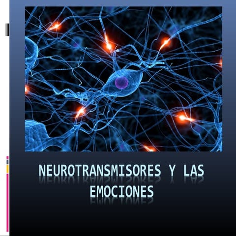4 ps biología neurotransmisoresylasemociones