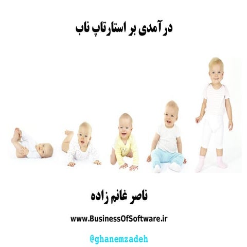 آشنایی با استارتاپ ناب- استارتاپ اسپارک اصفهان