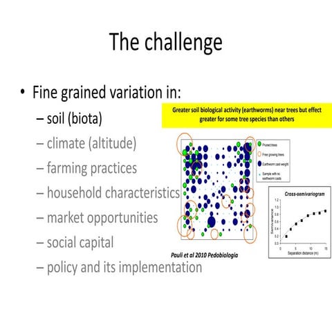Fergus Sinclair ICRAF Systems Science | PPTX