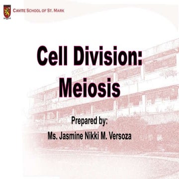 Meiosis