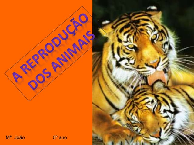 4 Processos Reprodutivos nos animai...