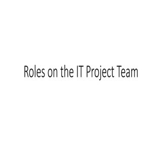 4 roles on the it project team