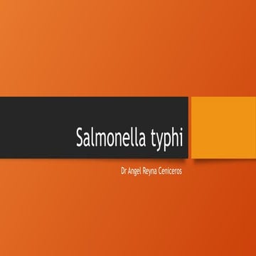 Salmonella typhi Salmonella typhi Salmonella typhi