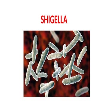 about Shigella along with laboratory diagnosis