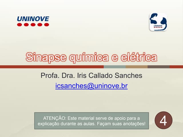 Sinapse química e elétrica #4