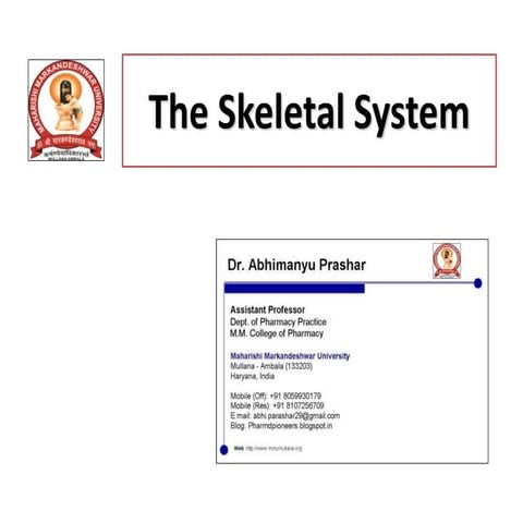 Skeletal system