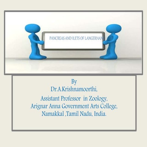 Pancreas and ilets of langerhane