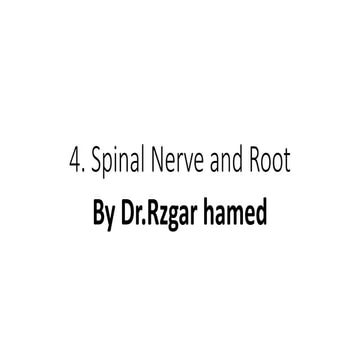 Common Referred Pain Patterns – Low Back | PDF