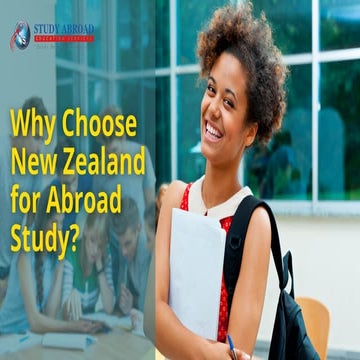 Visa Basics For International Students In The United States | PDF