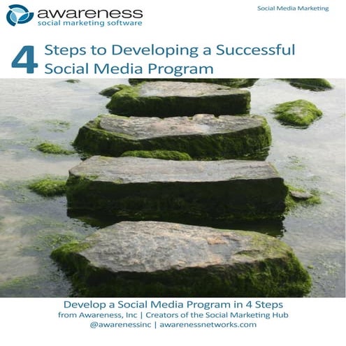 Designing a social media campaign | PDF
